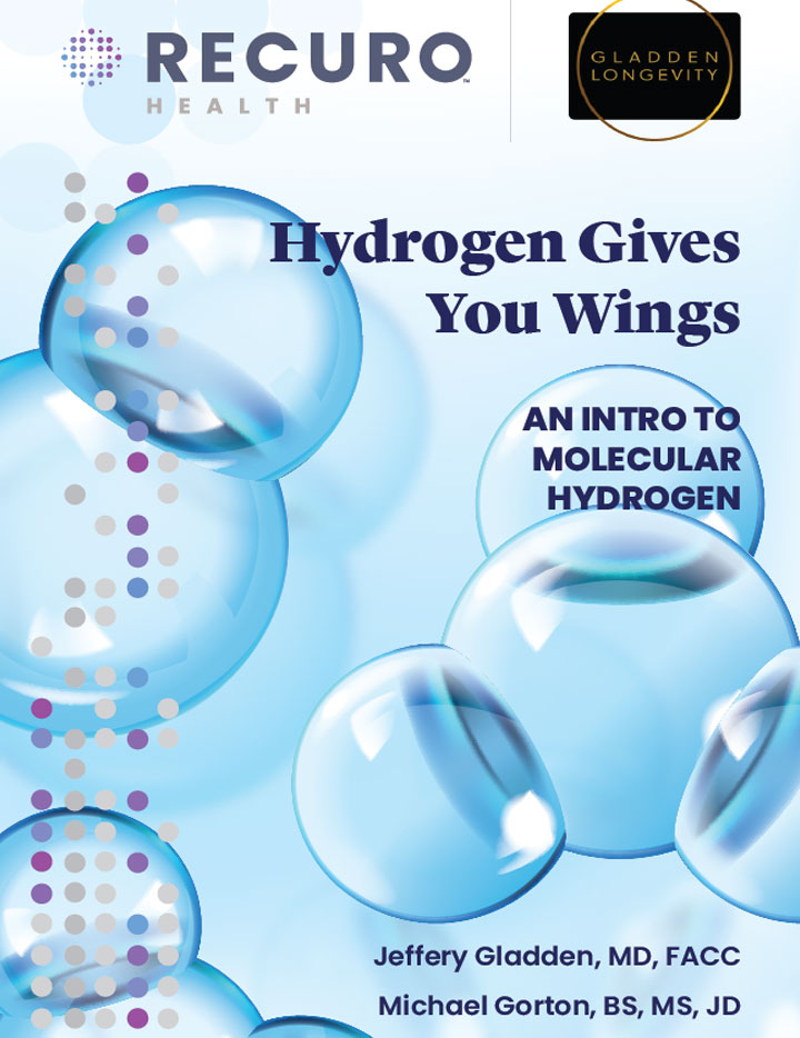 Hydrogen-gives-you-wings-white-paper-cover